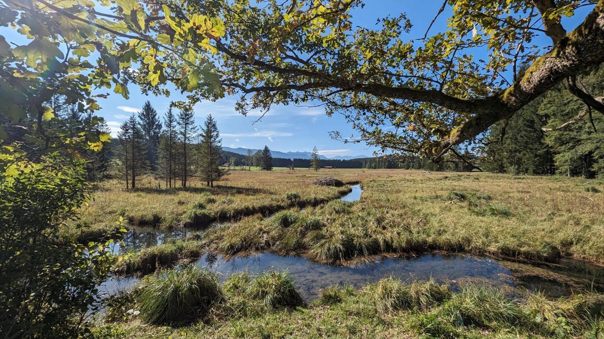 Liboria I Traumhafte Ferienwohnung In Aidling Am Riegsee Mit Atemberaubendem Panoramablick! Esterno foto